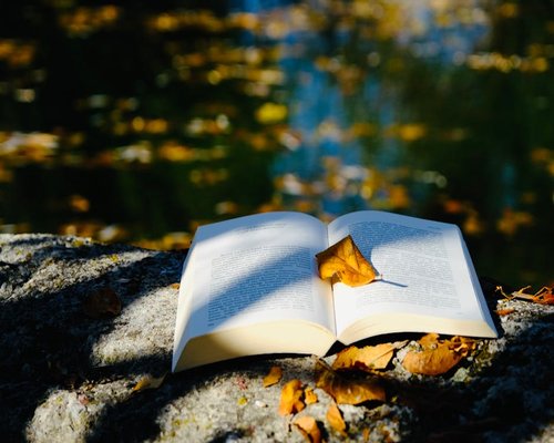 Soft natural light falling onto an open book